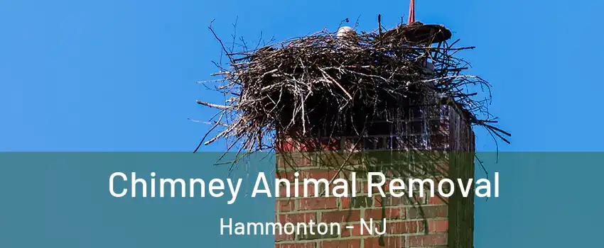 Chimney Animal Removal Hammonton - NJ