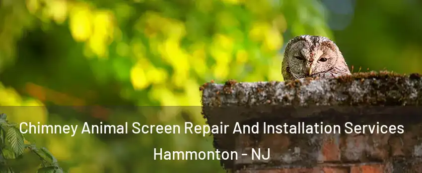  Chimney Animal Screen Repair And Installation Services Hammonton - NJ