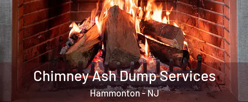  Chimney Ash Dump Services Hammonton - NJ