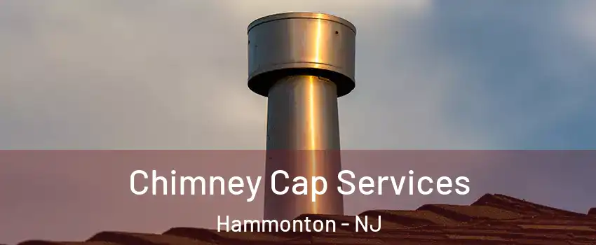  Chimney Cap Services Hammonton - NJ