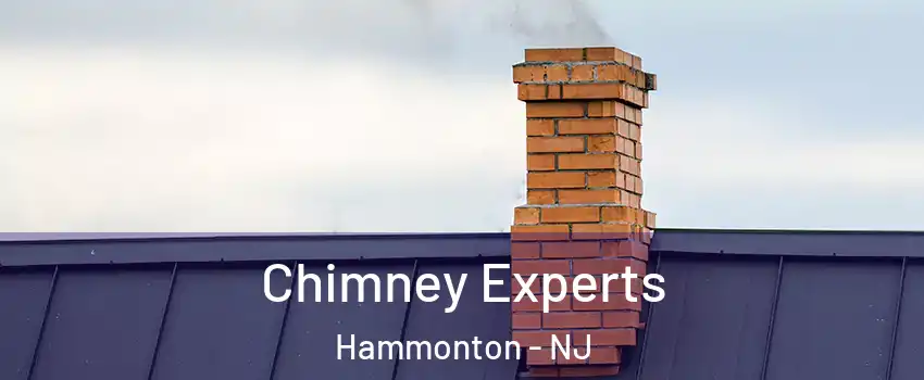  Chimney Experts Hammonton - NJ