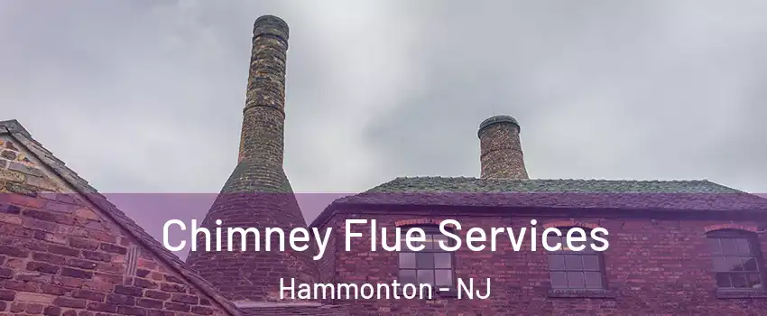 Chimney Flue Services Hammonton - NJ