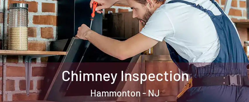  Chimney Inspection Hammonton - NJ
