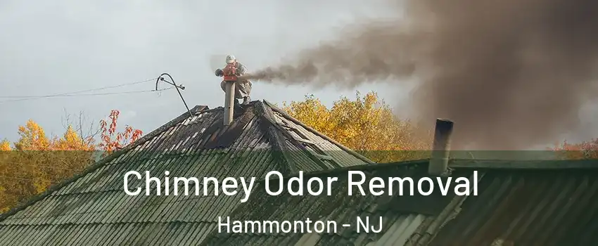  Chimney Odor Removal Hammonton - NJ