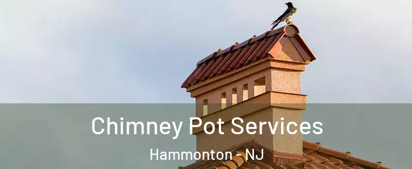  Chimney Pot Services Hammonton - NJ