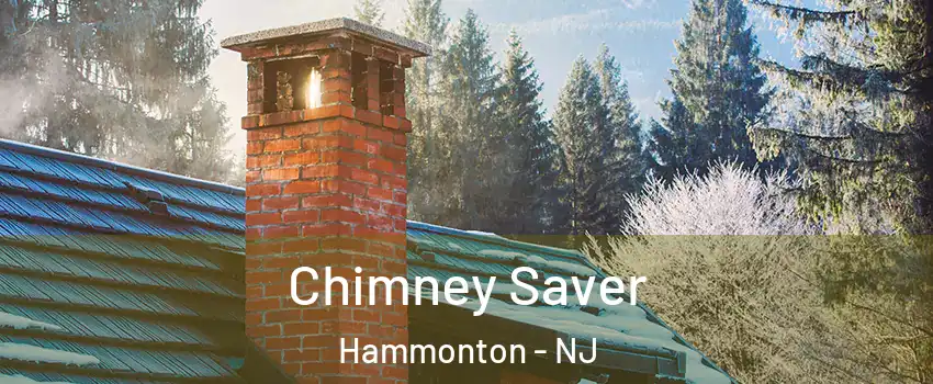  Chimney Saver Hammonton - NJ