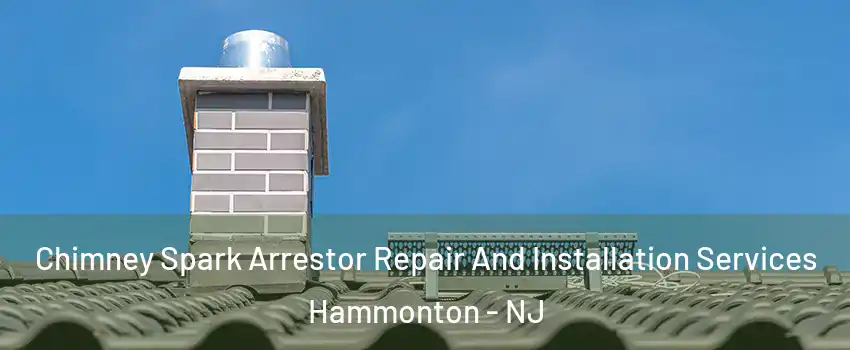  Chimney Spark Arrestor Repair And Installation Services Hammonton - NJ