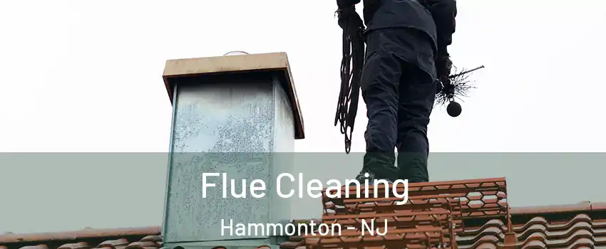  Flue Cleaning Hammonton - NJ