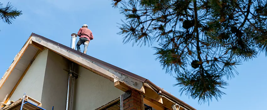 Birds Removal Contractors from Chimney in Hammonton, NJ
