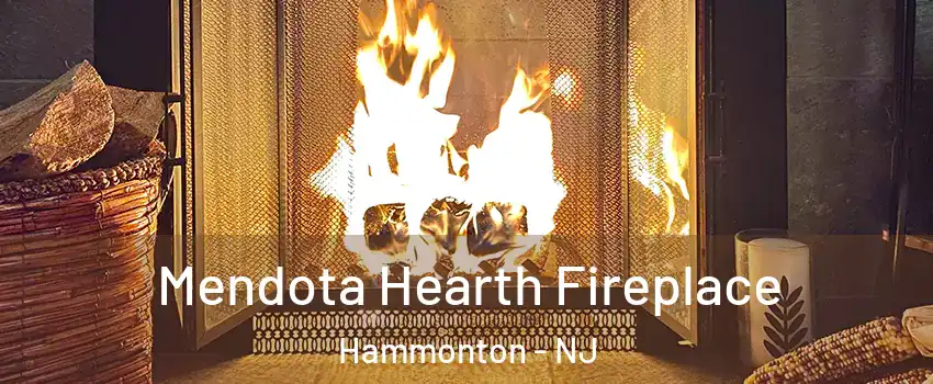  Mendota Hearth Fireplace Hammonton - NJ