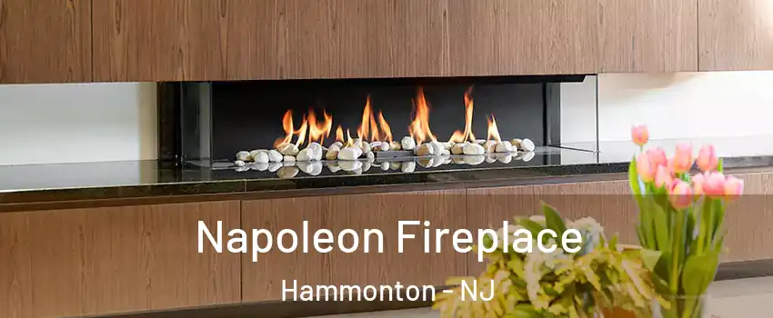  Napoleon Fireplace Hammonton - NJ