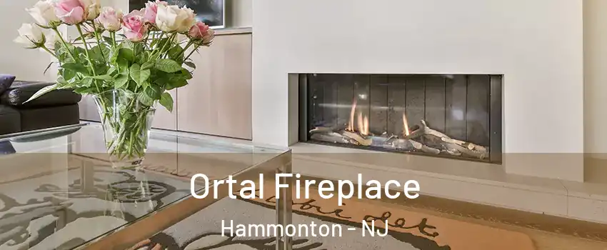  Ortal Fireplace Hammonton - NJ