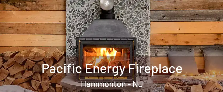  Pacific Energy Fireplace Hammonton - NJ